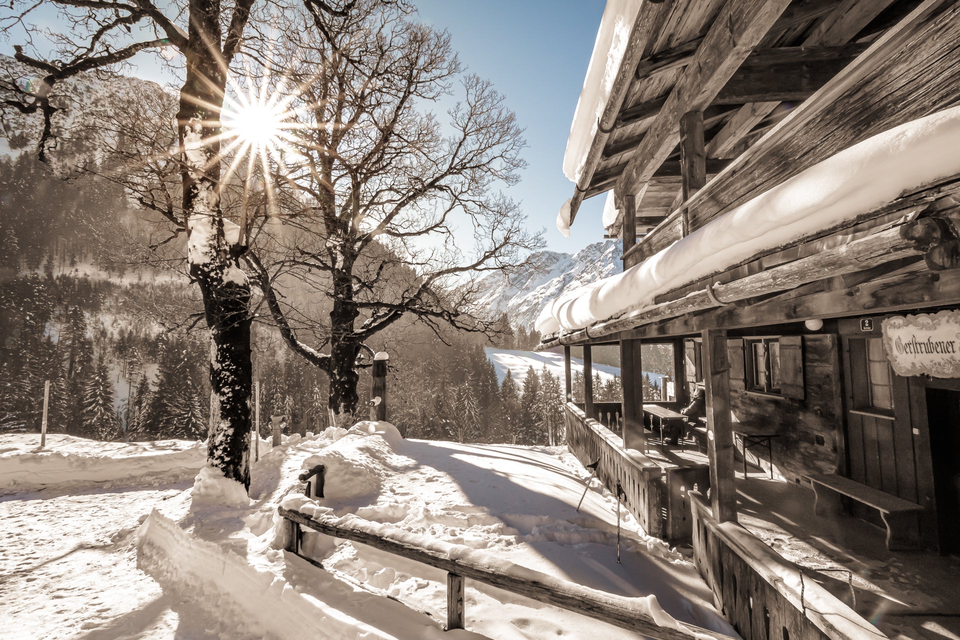 hier präsentiert RENÉ seine Arbeiten... Seite 2