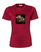 Lade das Bild in den Galerie-Viewer, Schmusende Kühe - Bio-Baumwolle Damen T-Shirt