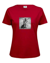 Lade das Bild in den Galerie-Viewer, Junge Kuh - Bio-Baumwolle Damen T-Shirt
