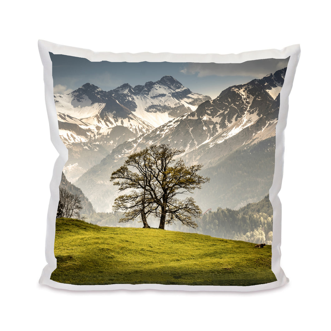 Kuschelkissen 1001160