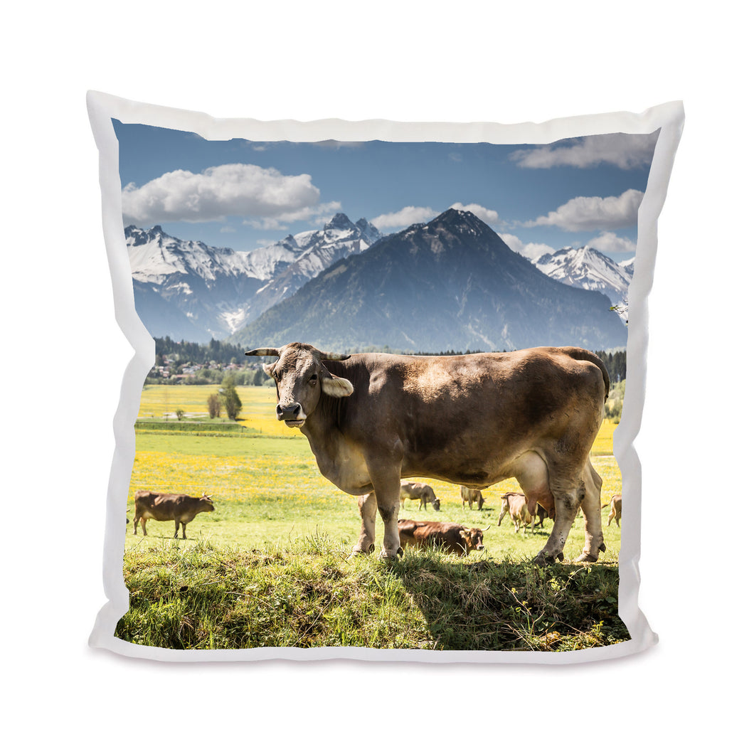 Kuschelkissen 1001176