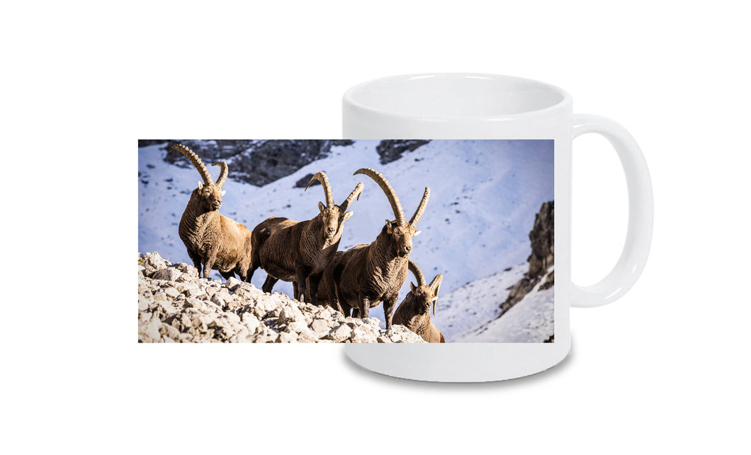 Tasse 1001189