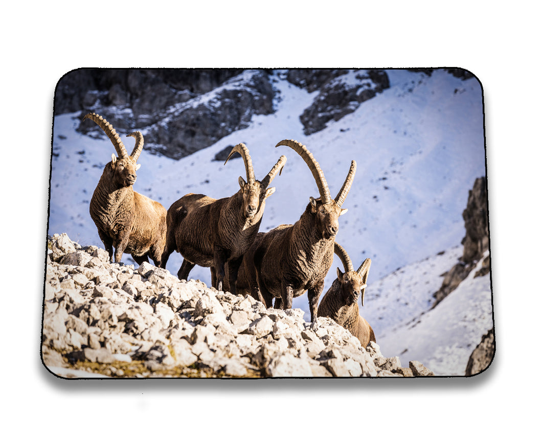 Mousepad 1001189