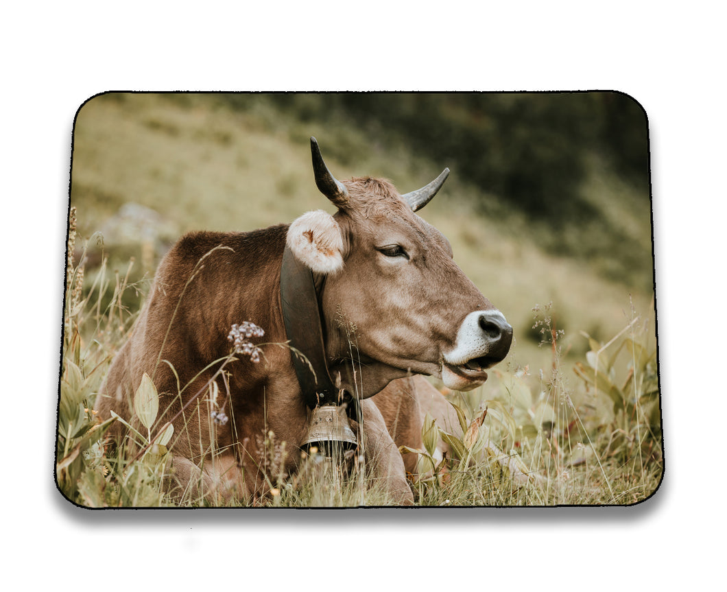 Mousepad 1001205
