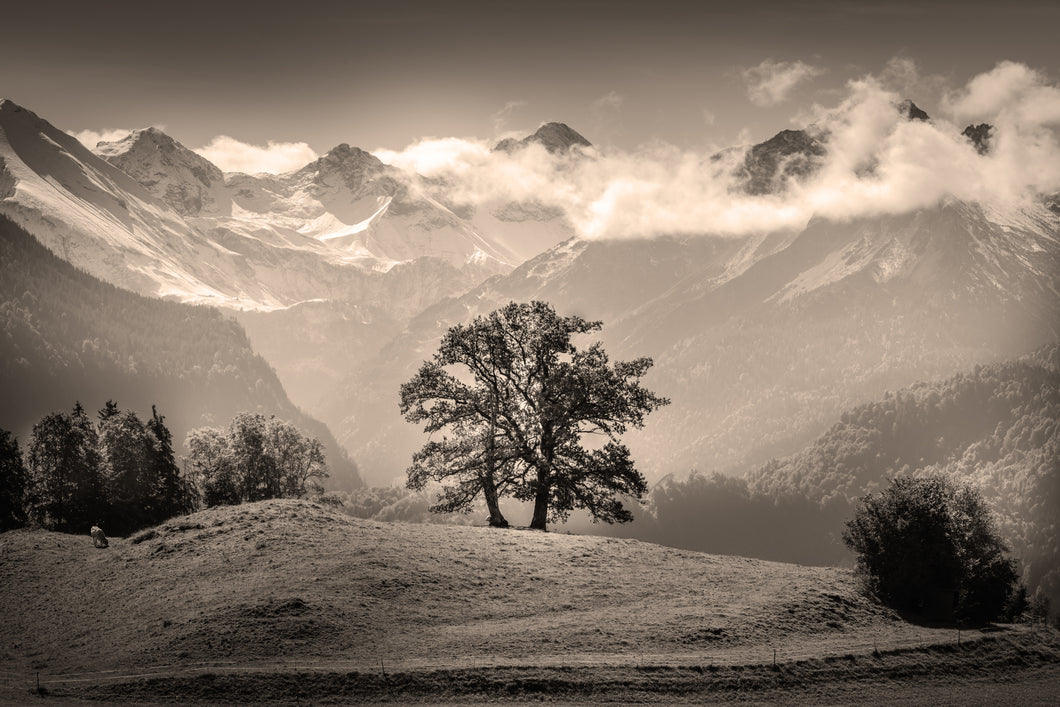 Reichenbach V sepia 1001256_sepia
