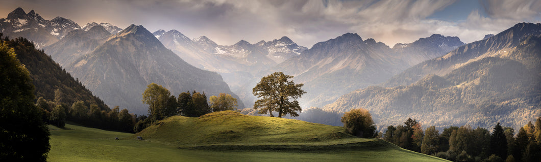 Panorama Reichenbach 1001257