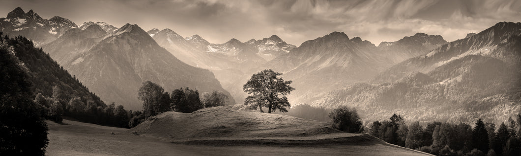 Panorama Reichenbach sepia 1001258_sepia