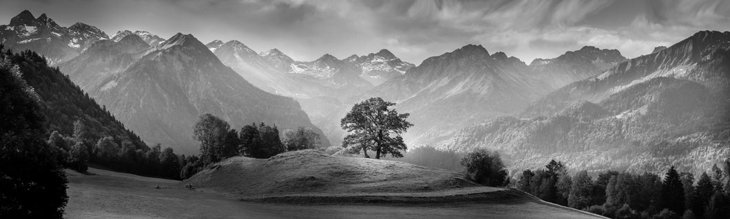 Panorama Reichenbach s/w 1001258
