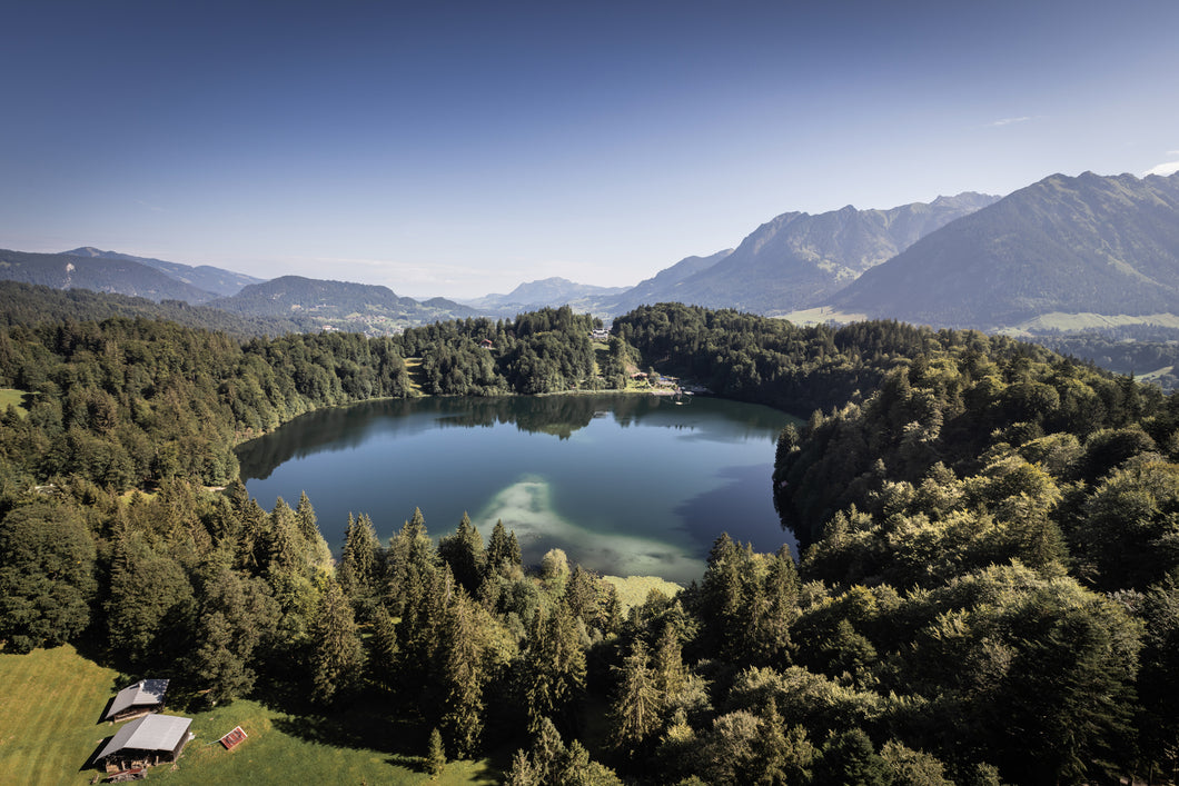 Freibergsee im Sommer 1001259