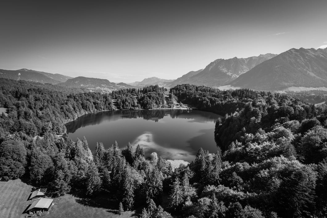 Freibergsee im Sommer s/w 1001260