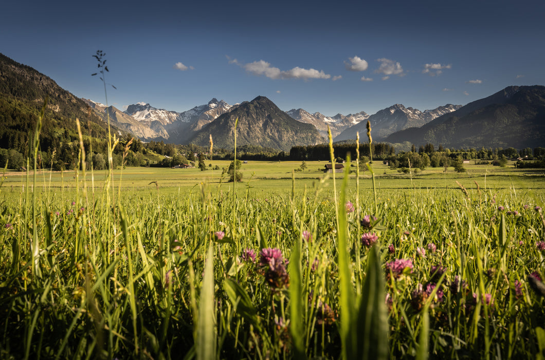 Blick von Rubi im Sommer 1001287