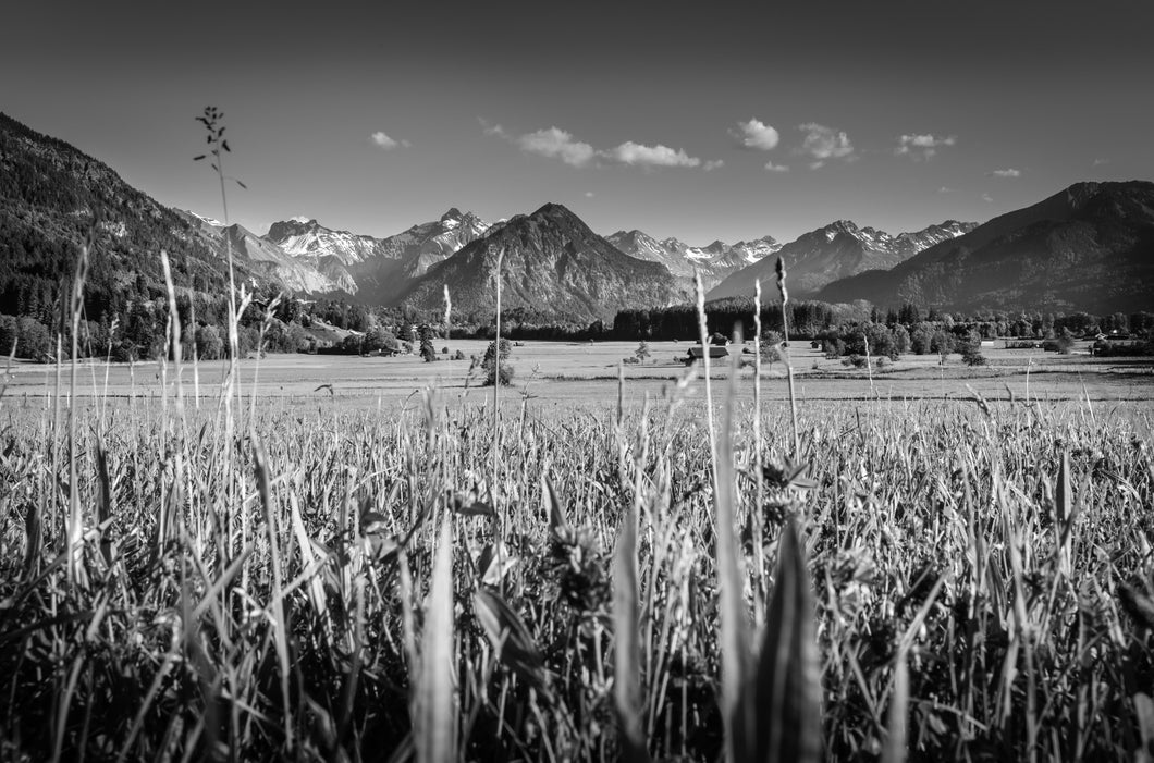 Blick von Rubi im Sommer s/w 1001288