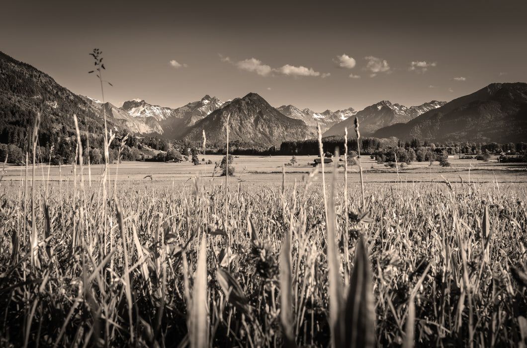 Blick von Rubi im Sommer sepia 1001288_sepia