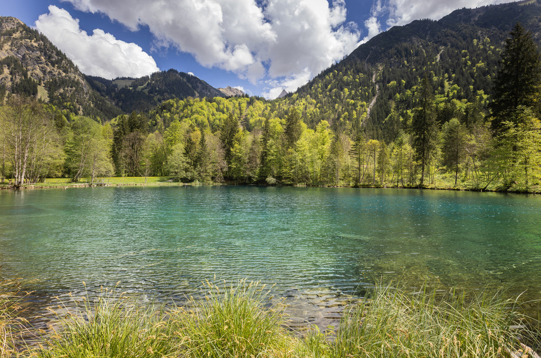 Christlessee im Frühling 1001289