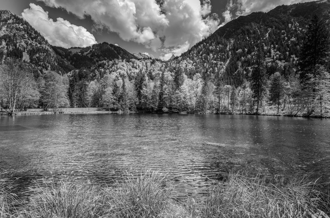 Christlessee im Frühling s/w 1001290