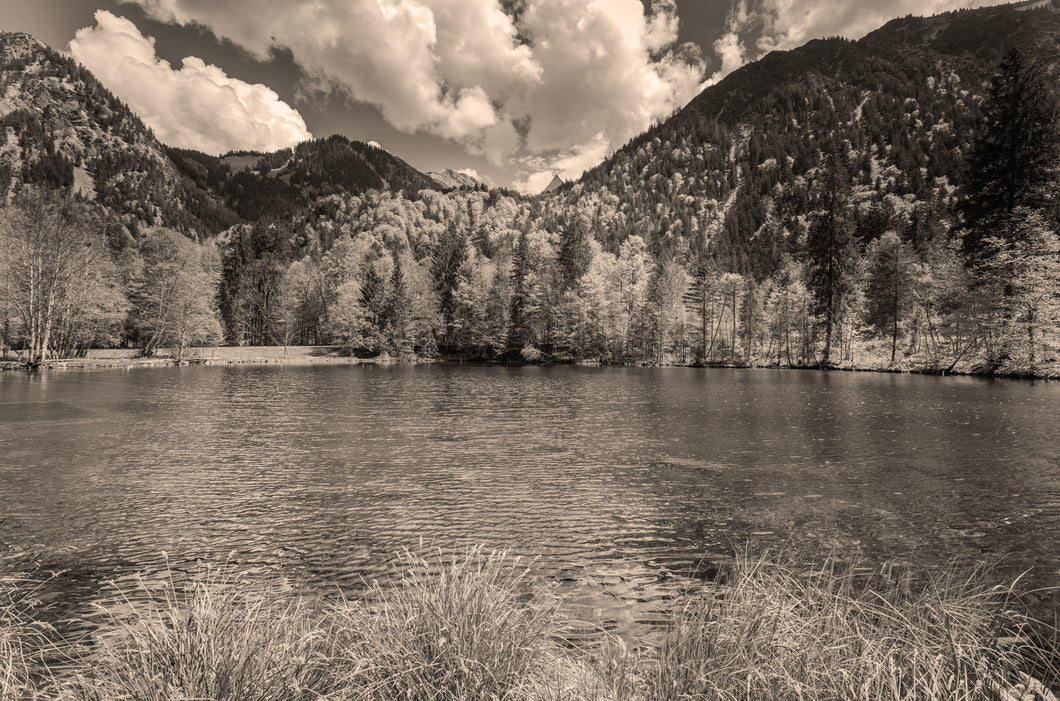 Christlessee im Frühling sepia 1001290_sepia