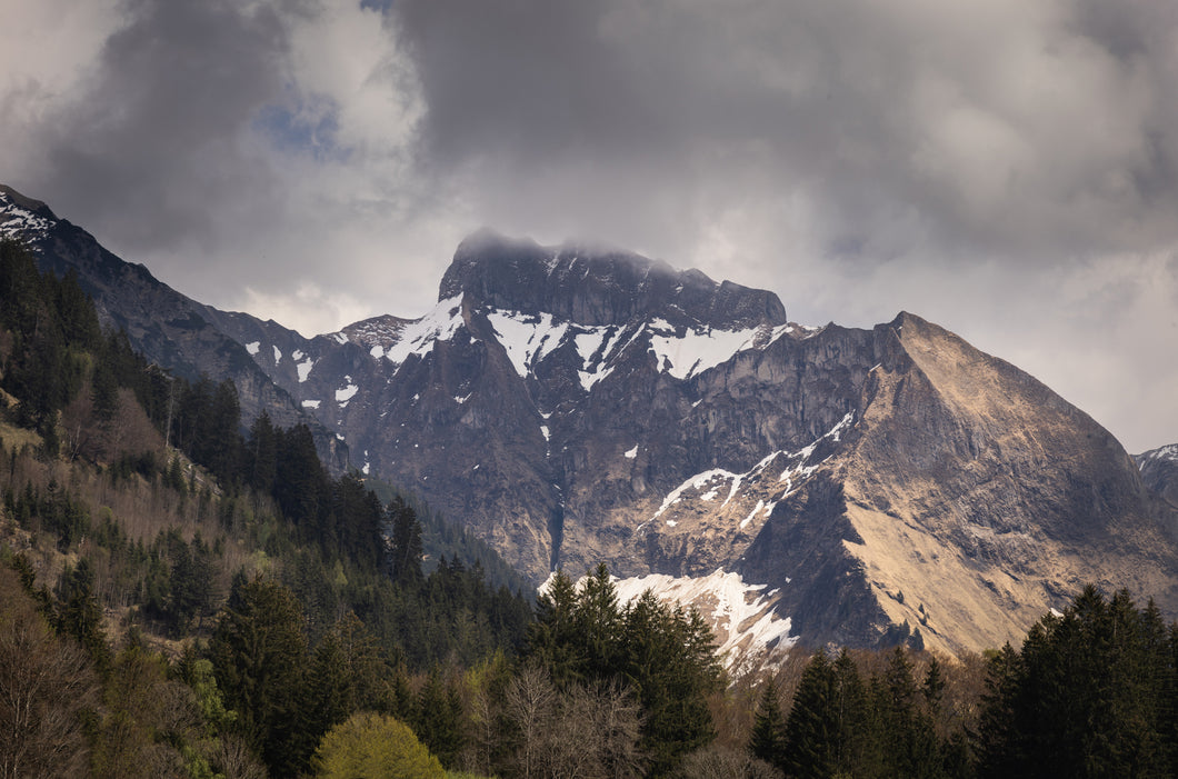 Der Schneck 1001291