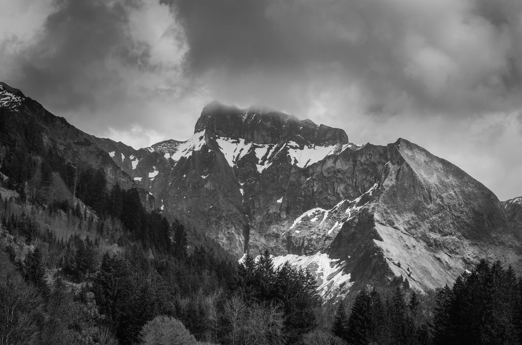 Der Schneck s/w 1001292