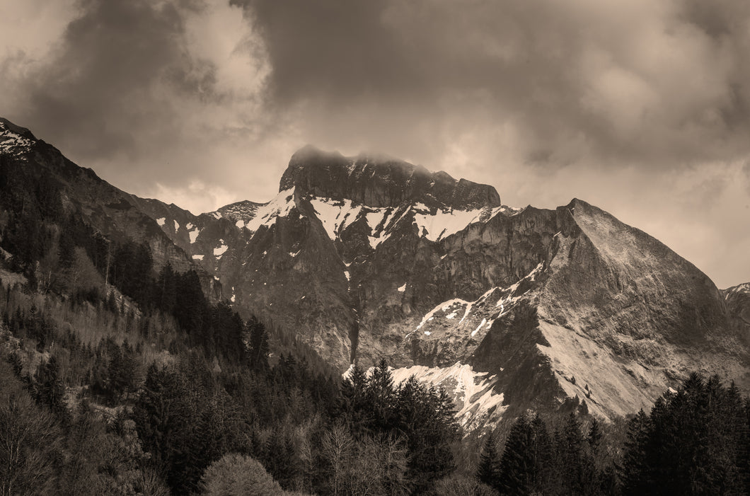 Der Schneck sepia 1001292_sepia