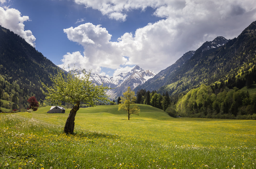 Im Trettachtal 1001293