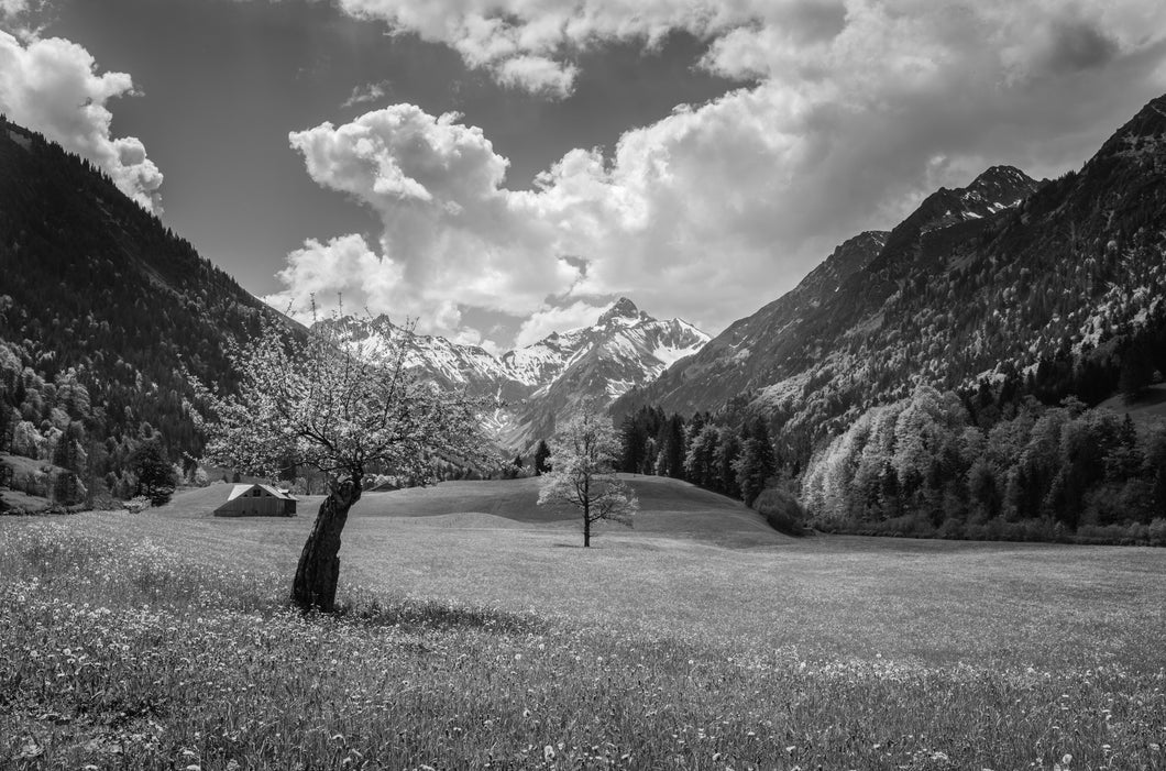 Im Trettachtal s/w 1001294