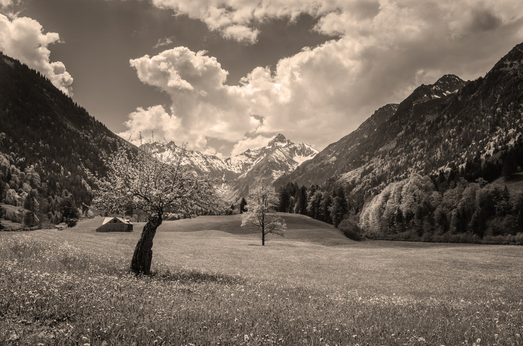 Im Trettachtal sepia 1001294_sepia