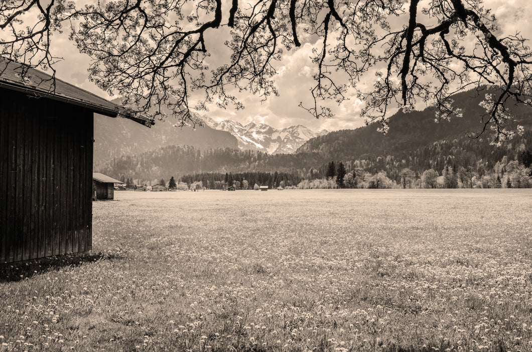 Stadl in den Oberstdorfer Wiesen sepia 1001300_sepia