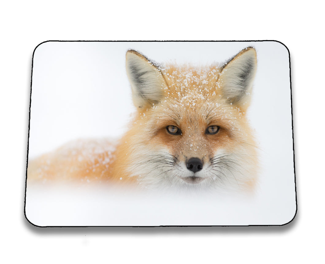 Mousepad 4001003