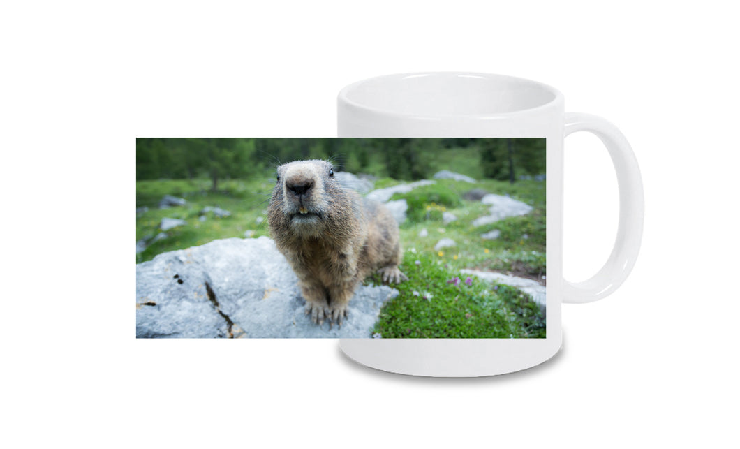 Tasse 4001071