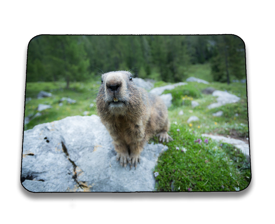 Mousepad 4001071