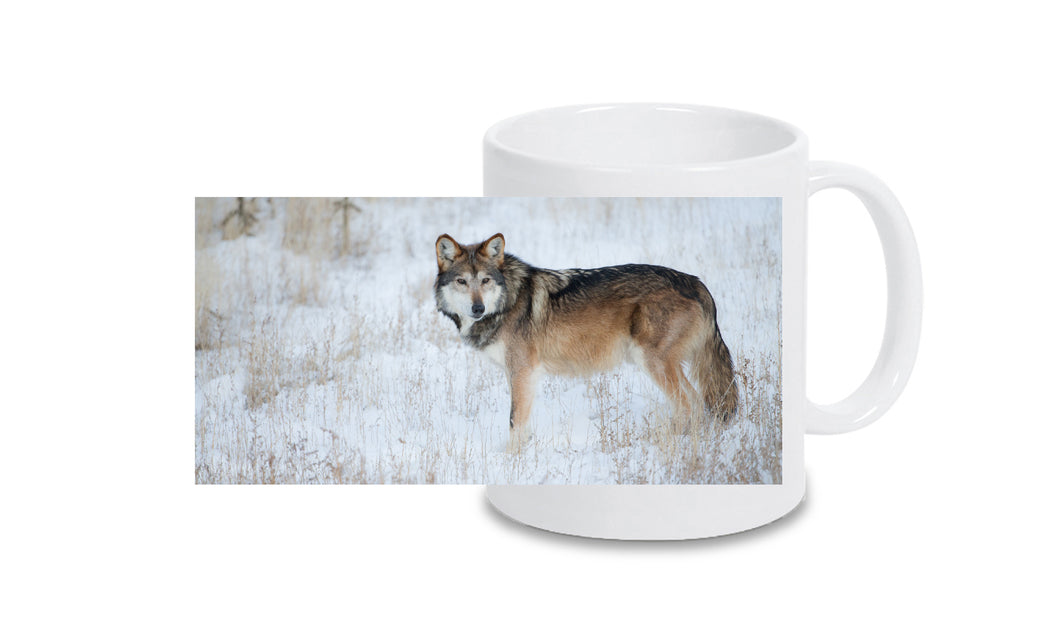 Tasse 4001083