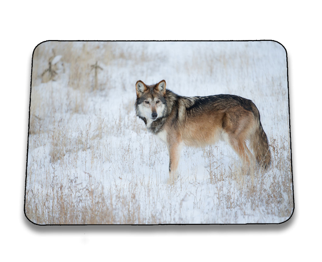 Mousepad 4001083