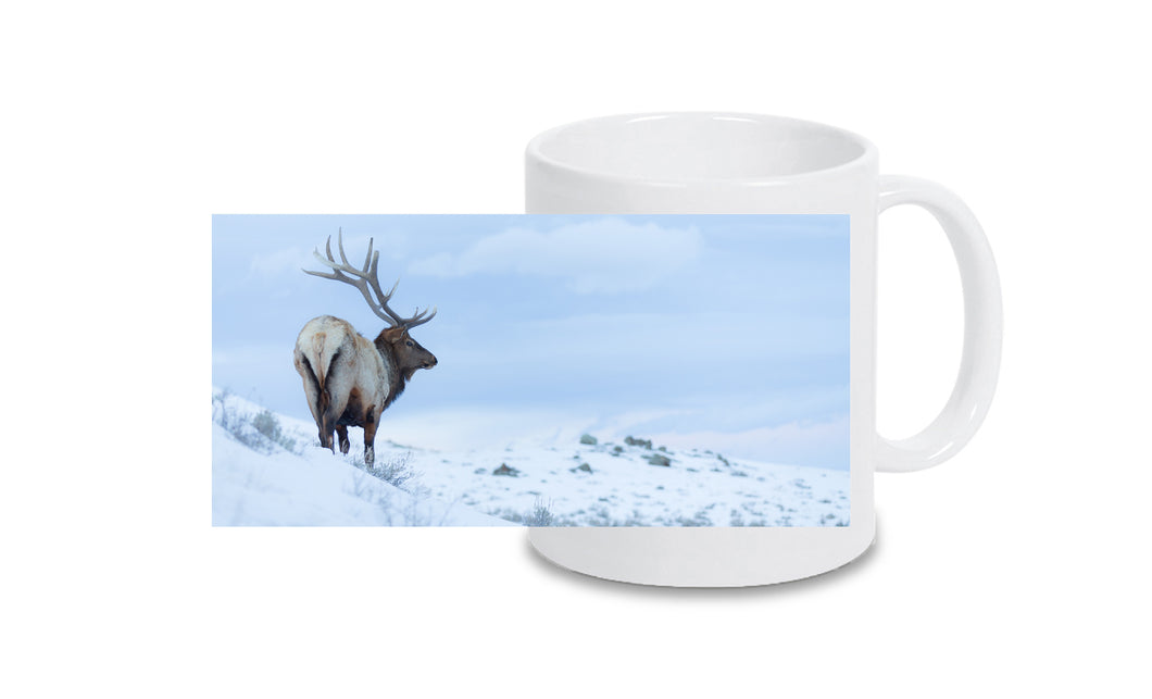 Tasse 4001093