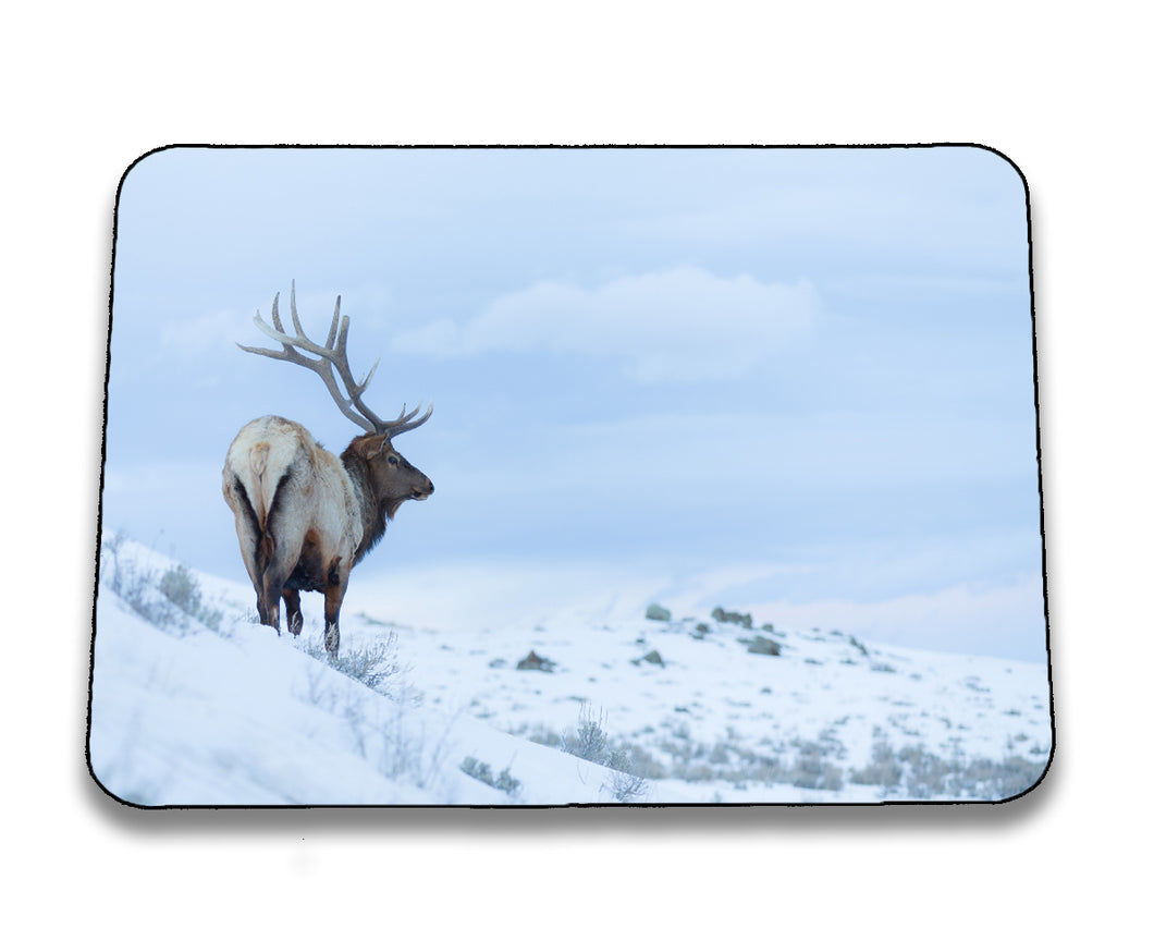 Mousepad 4001093
