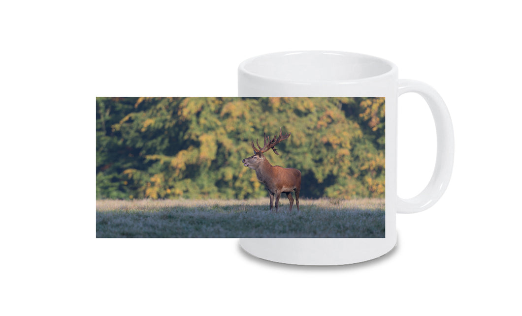 Tasse 4001107