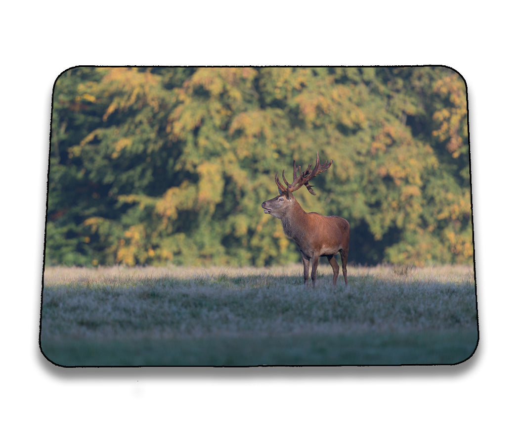 Mousepad 4001107