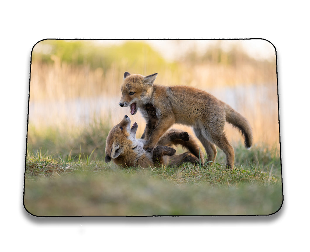 Mousepad 4001140