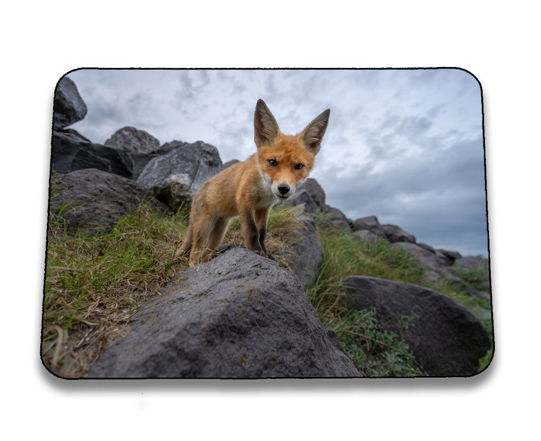 Mousepad 4001151