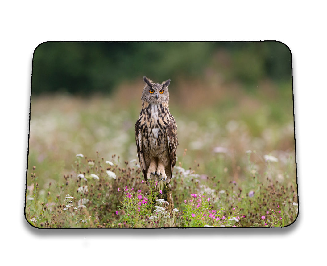 Mousepad 4001168