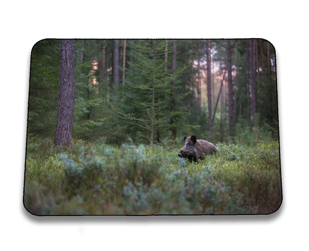 Mousepad 4001169