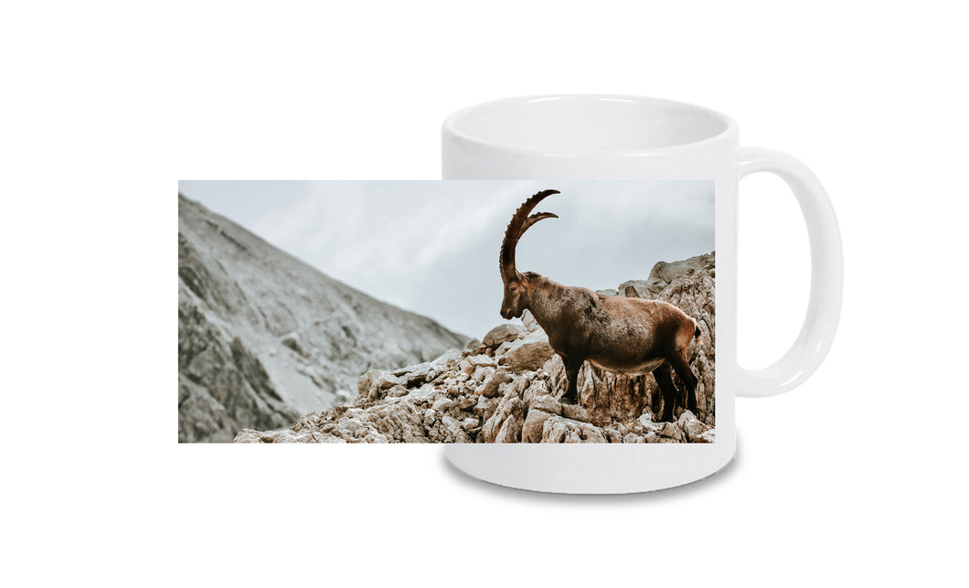 Tasse 6001016
