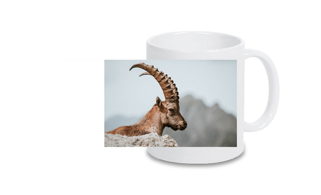 Tasse 6001023