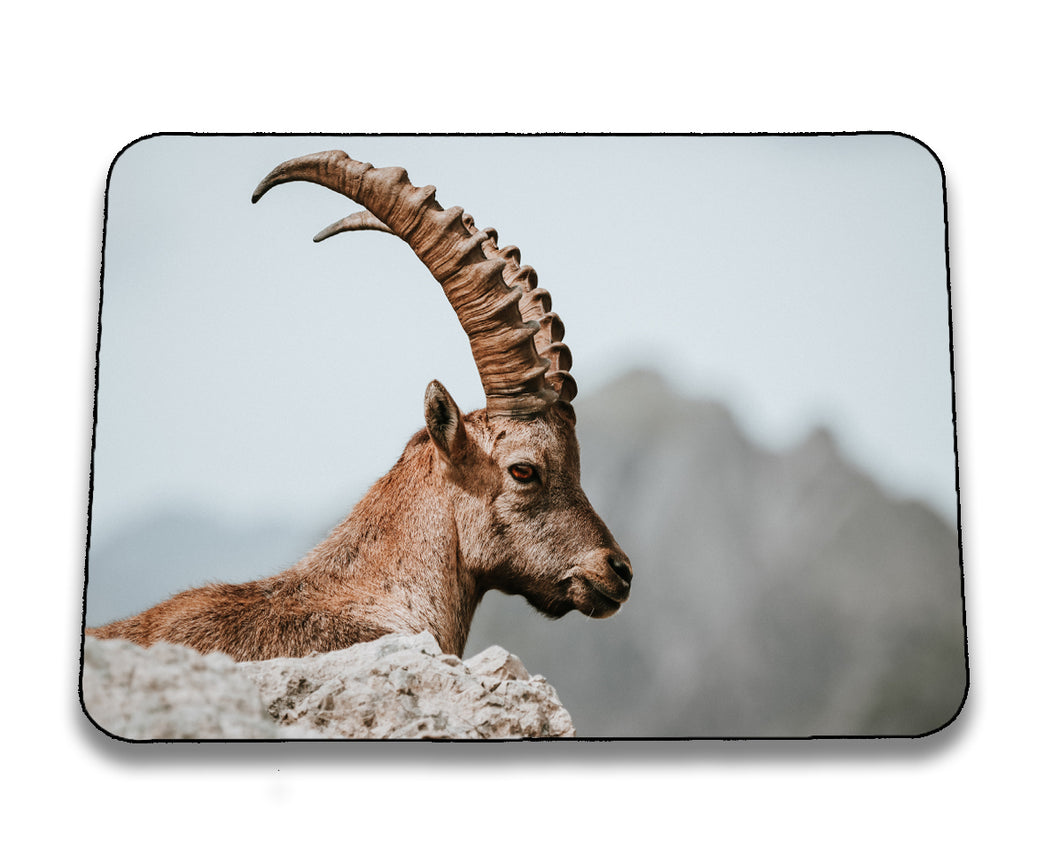 Mousepad 6001023