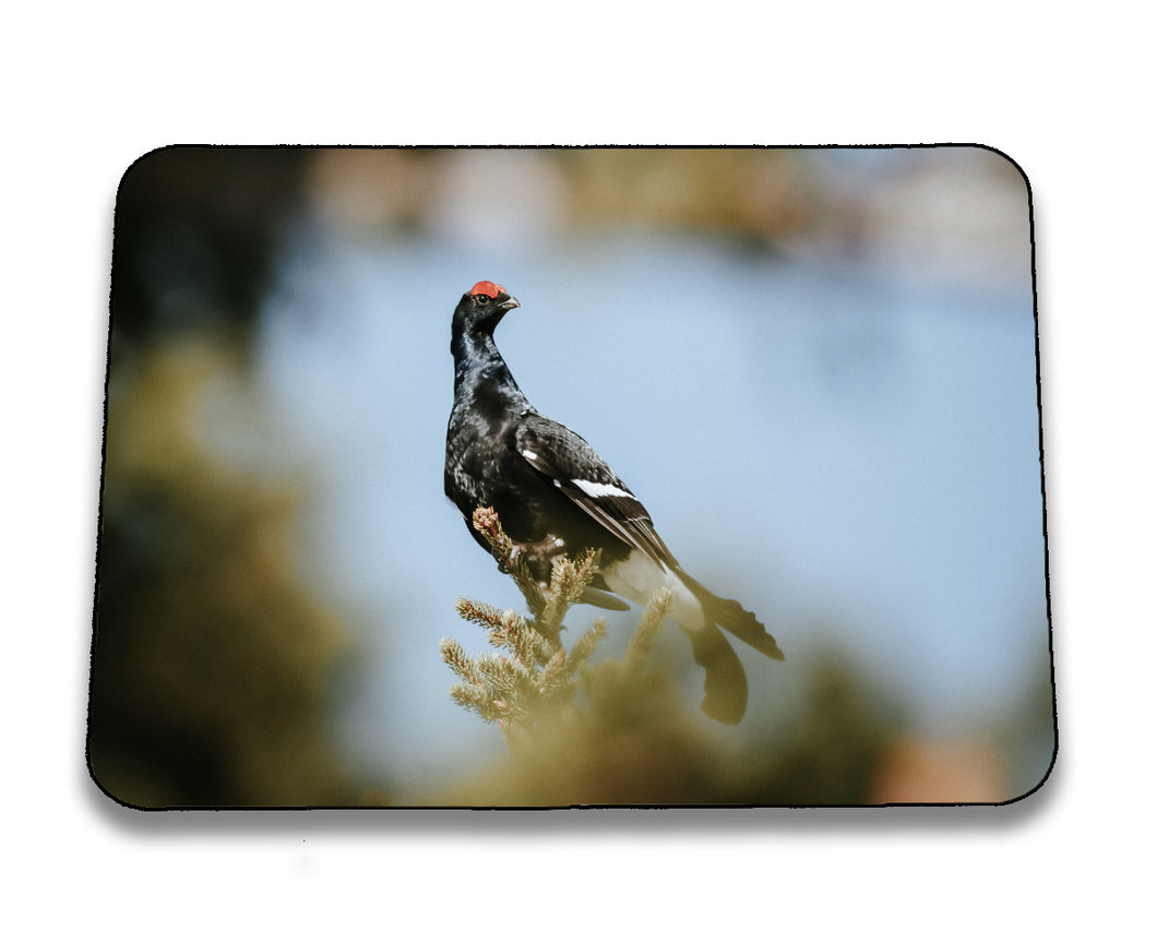 Mousepad 6001044