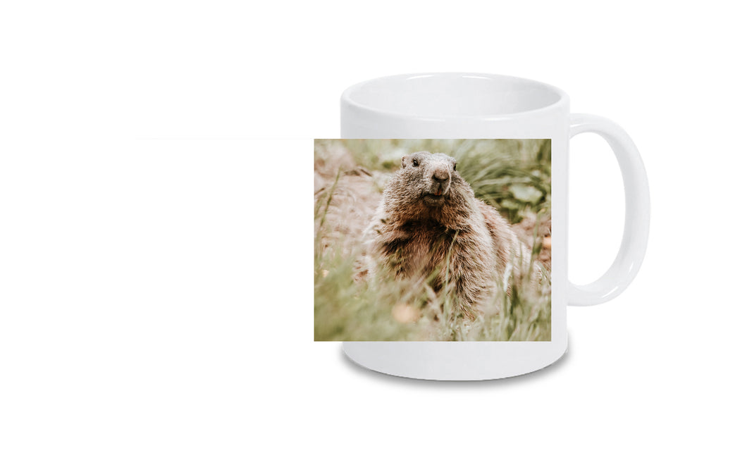 Tasse 6001054