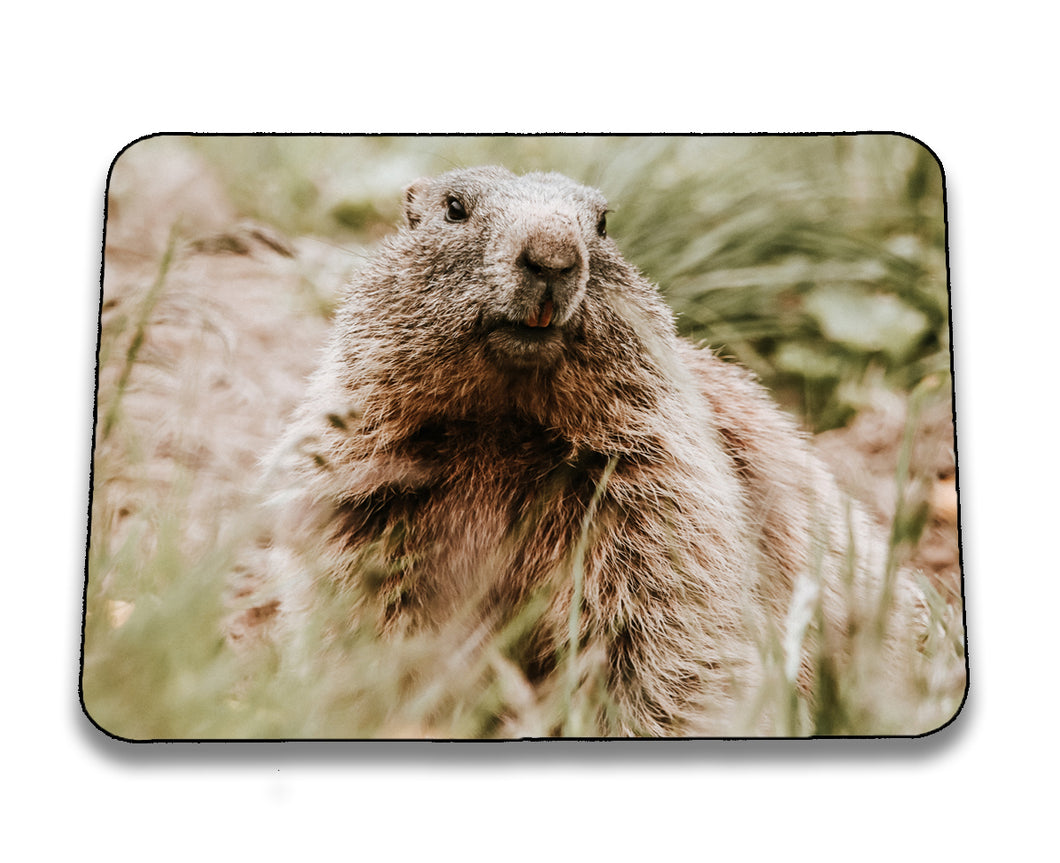 Mousepad 6001054