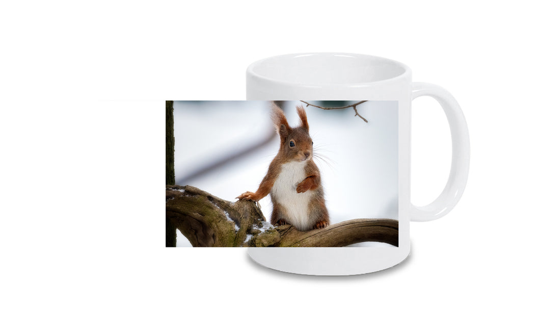 Tasse 8001001