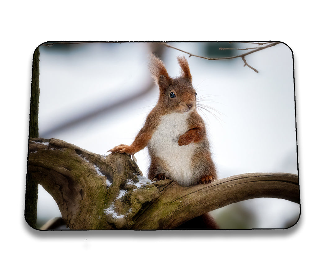 Mousepad 8001001