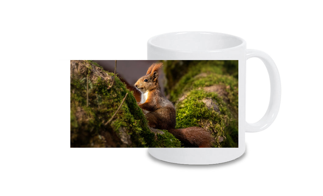 Tasse 8001008