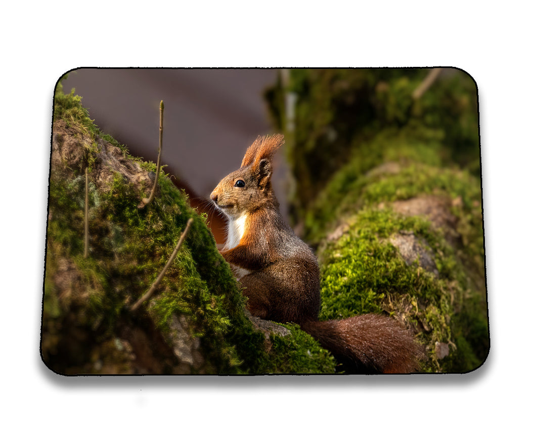 Mousepad 8001008